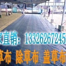 山東泰山土工材料生產(chǎn)廠 專業(yè)供應土工材料與PP塑料產(chǎn)品